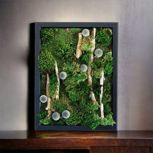 Handmade Preserved Wall Moss Art