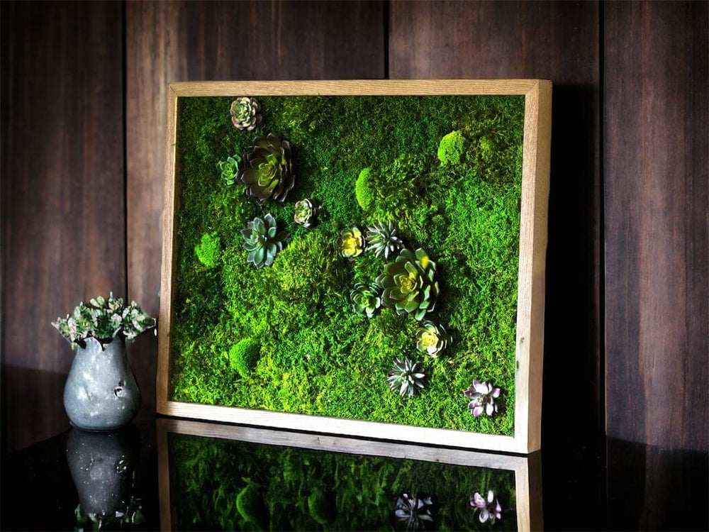 The Botanica House - Succulent Moss Art