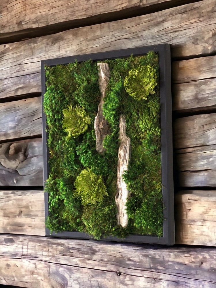 Spreading my wings in nature - Living Aura Moss Art – MonaAssocDesign