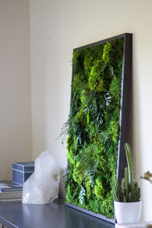 Moss Wall Art, Wood Frame, Moss Art Work, Moss Art, Preserved Moss