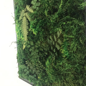 The Botanica House -Moss Wall Art Terra