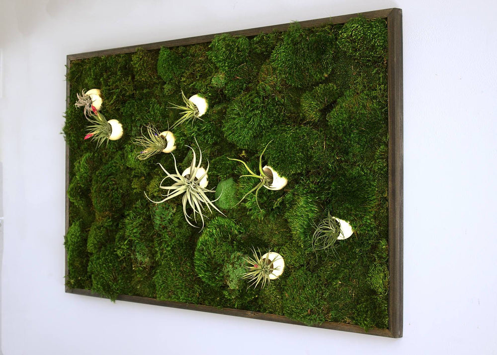 
                  
                    Air Bloom Art Botanica 
                  
                